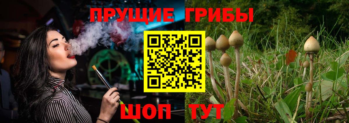 Псилоцибиновые грибы Magic Shrooms Орск