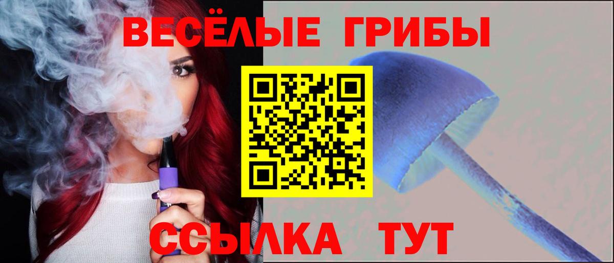 Орск  Псилоцибиновые грибы мицелий  Вход с VPN 
